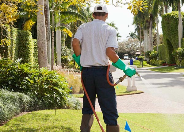 About Baileyville KS Pest Control